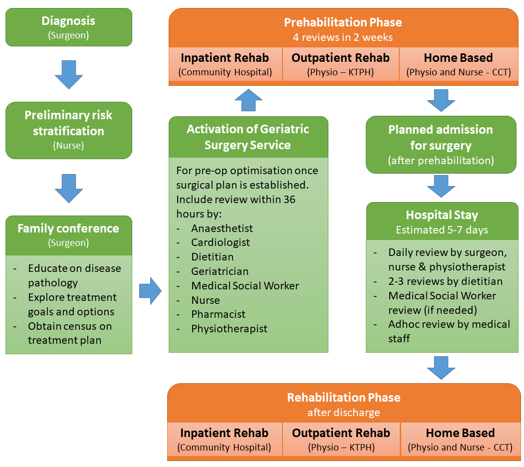 patient journey